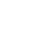 Test Execution